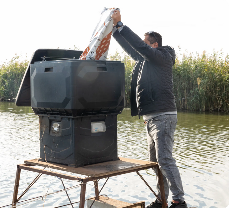 Sturgeon feeding process