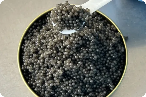 black caviar