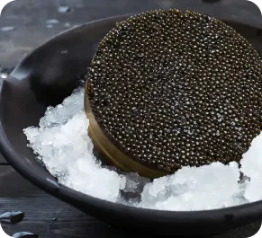 Jar of black caviar on ice