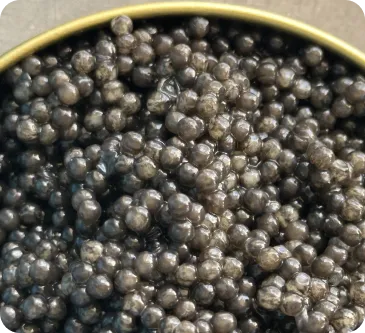 Black caviar
