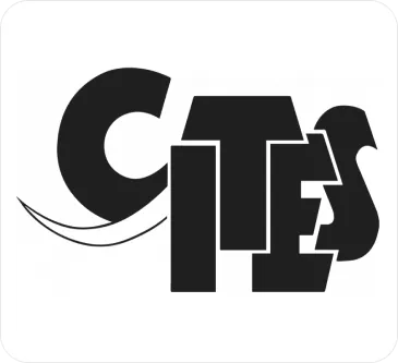 cites 