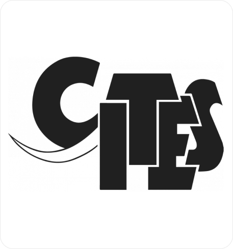 cites