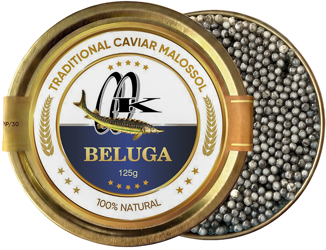 Beluga