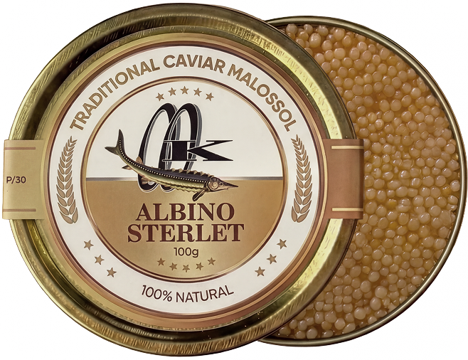 albino sterlet caviar