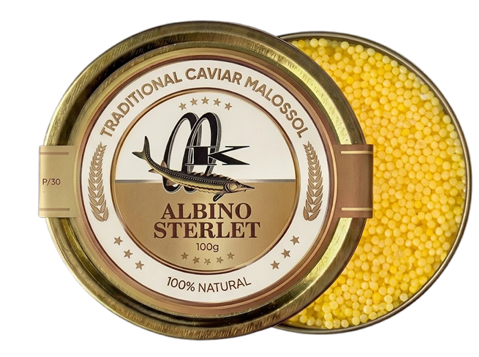 albino sterlet caviar
